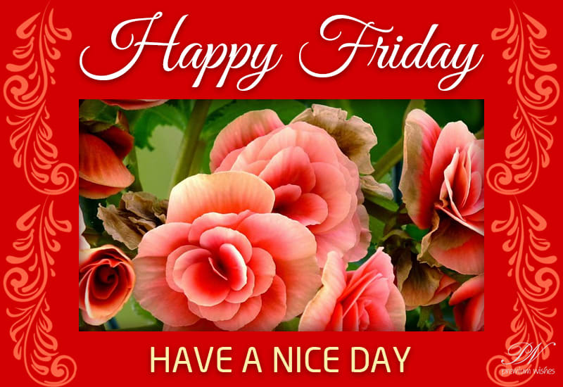 Happy Friday - have a nice and fulfilling day - Premium Wishes
