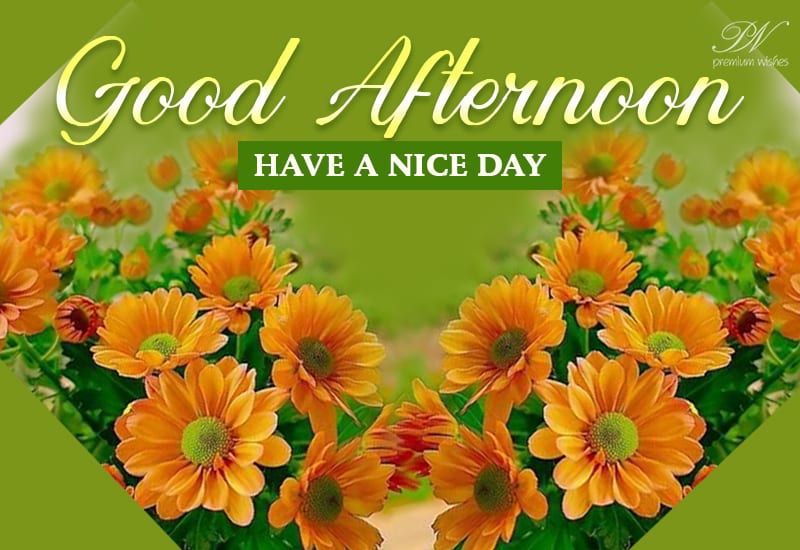 Good Afternoon - Have the nicest noon ahead - Premium Wishes