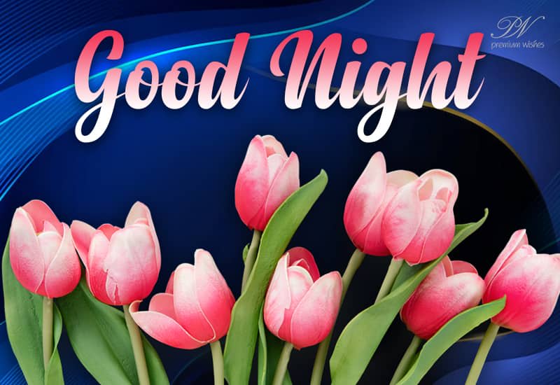 Sending You These Beautiful Flowers Wishing You A Grand Night Premium Wishes Sending You These Beautiful Flowers Wishing You A Grand Night Premium Wishes