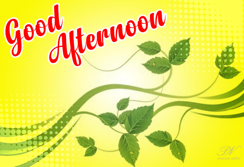 Good Afternoon Wishes - Premium Wishes