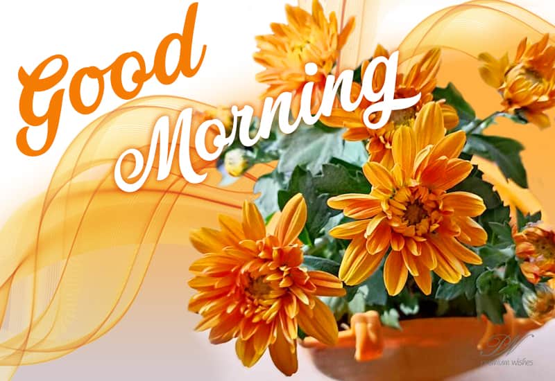 Happy Thursday - Be Happy - Premium Wishes