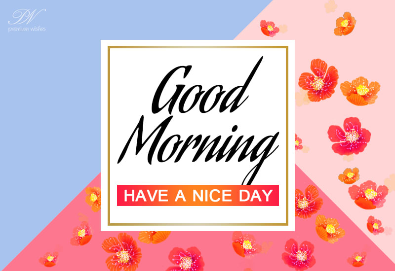 Good Morning Friends - Have a nice day - Premium Wishes