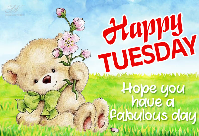 Happy Tuesday - Hope you have a fabulous day - Premium Wishes Happy Tuesday - Hope you have a fabulous day - Premium Wishes