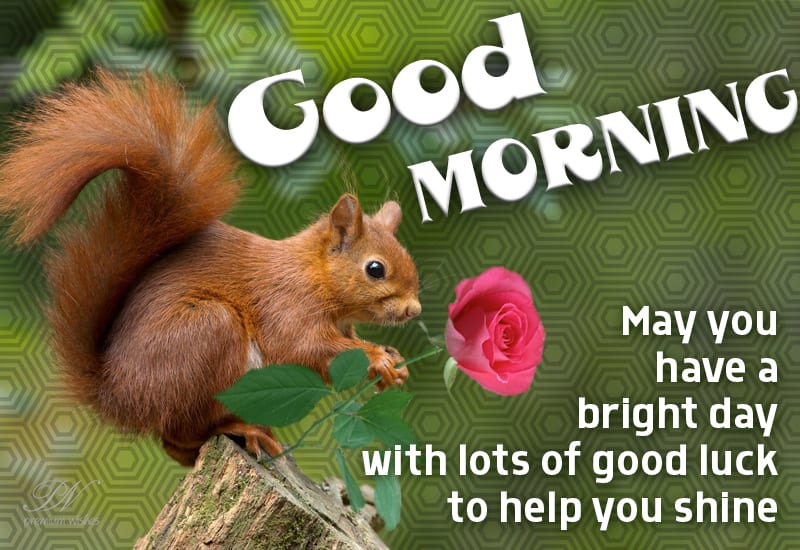 Good Morning - May you have a bright day with lots of good luck to help ...