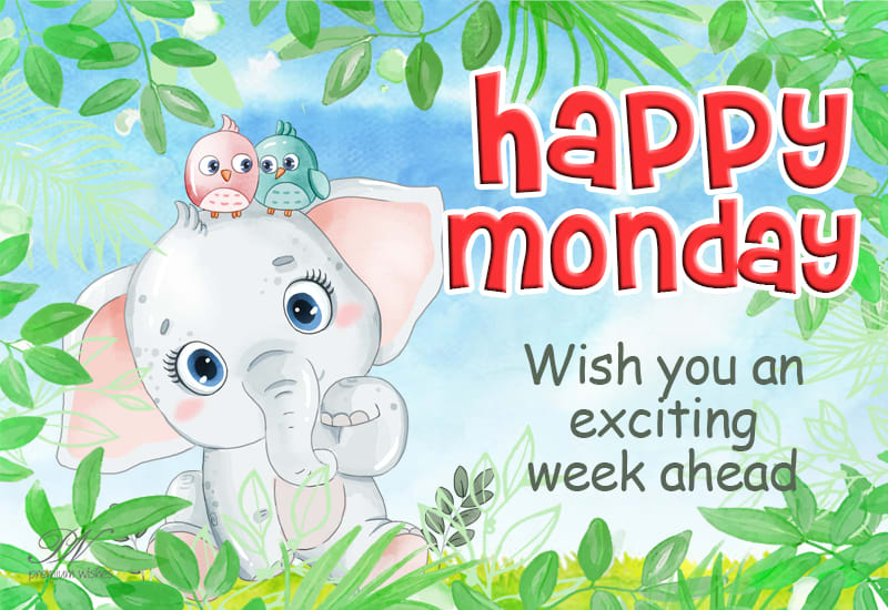Happy Monday Wish You An Exciting Week Ahead Premium Wishes Happy Monday Wish You An Exciting Week Ahead Premium Wishes