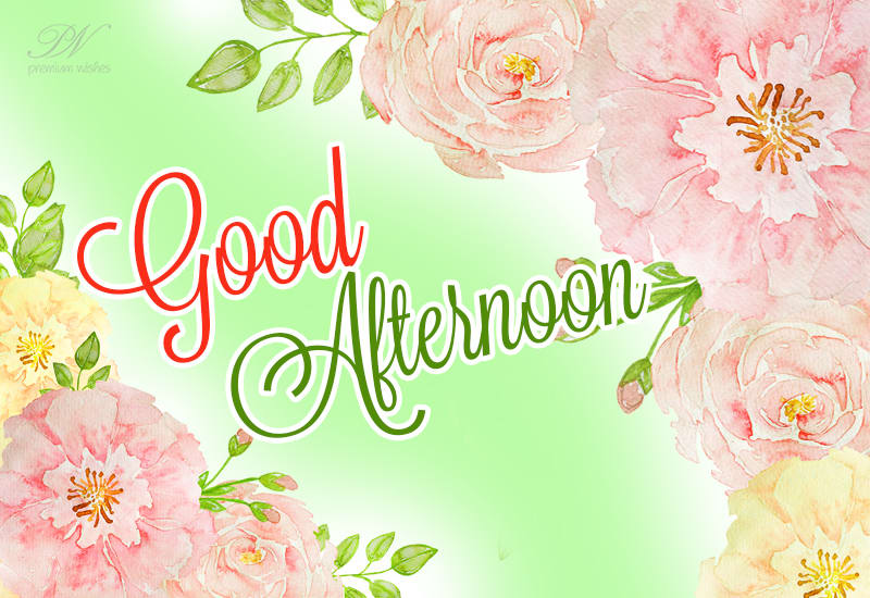 Happy Afternoon Friends - Enjoy the noon - Premium Wishes