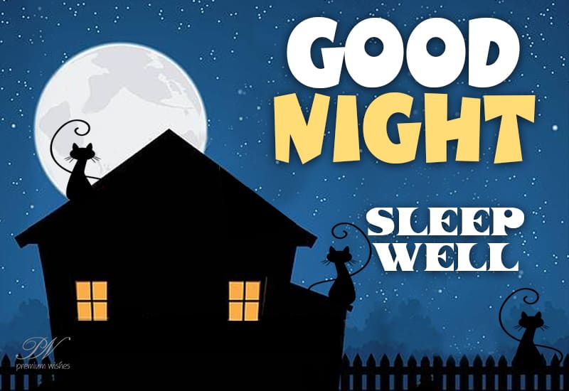 Good Night Sleep Well Premium Wishes