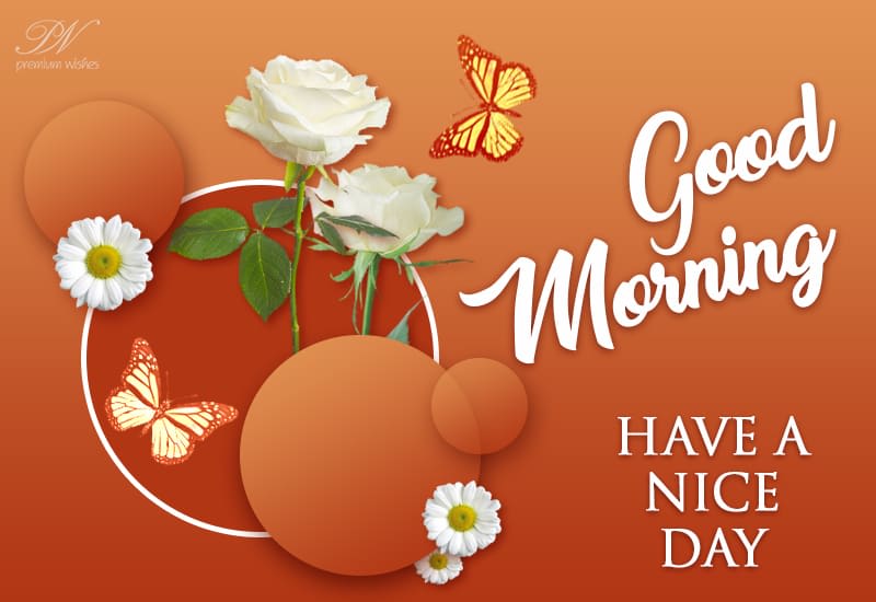 Good Morning Have A Nice Day Premium Wishes Good morning have a nice day premium wishes