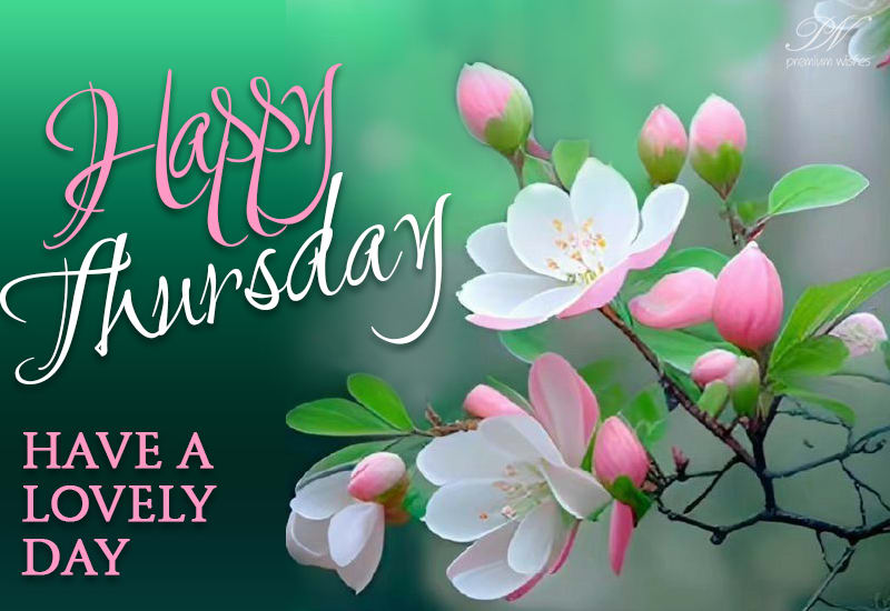 Happy Thursday - Have a lovely day - Premium Wishes