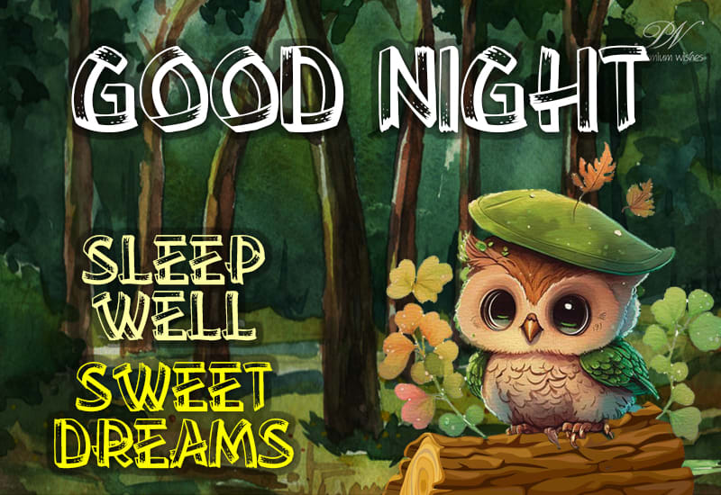 Friends Good Night - Sleep Well Sweet Dreams - Premium Wishes