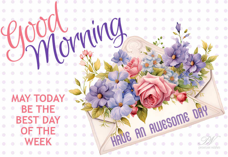 Good Morning May today be the best day of the week have an