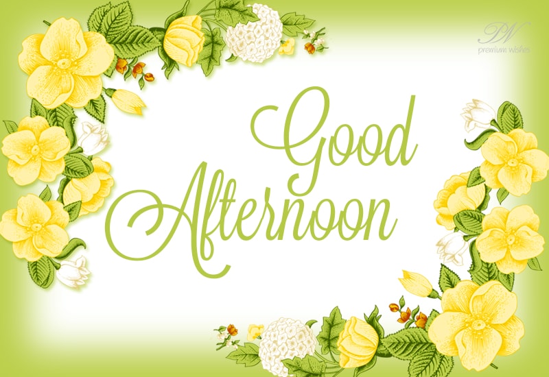 Good Afternoon Wishes – Page 2 – Premium Wishes