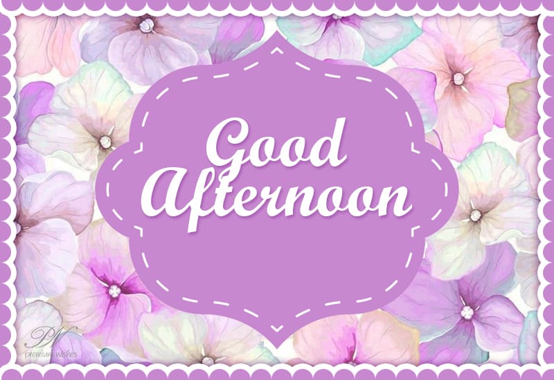 Good Afternoon Wishes – Page 2 – Premium Wishes