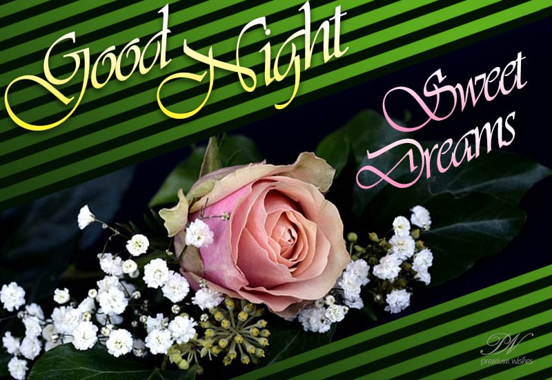 Good Night Wishes - Page 4 of 131 - Good Night msg to love for girl ...