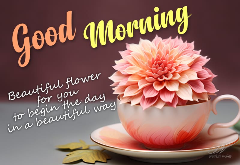 Simply Good Morning - Premium Wishes