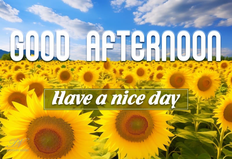 Good Afternoon - Have a nice day and enjoy the sun - Premium Wishes