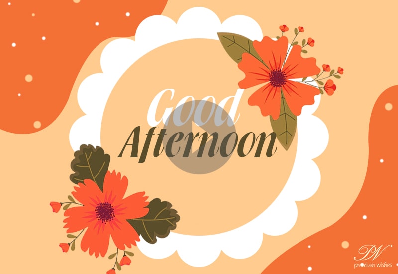 Good Afternoon Whatsapp Video - Good Afternoon Greetings