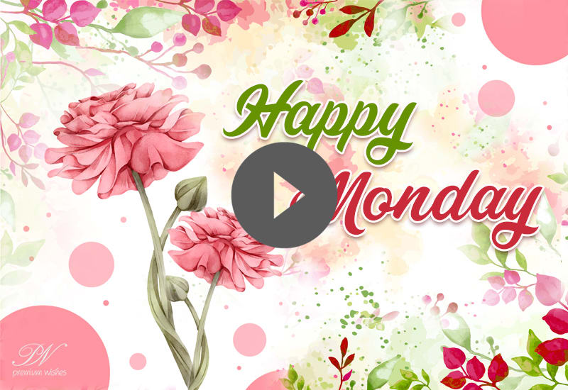 Happy Monday Whatsapp Status - Happy Monday Beautiful Flowers Video