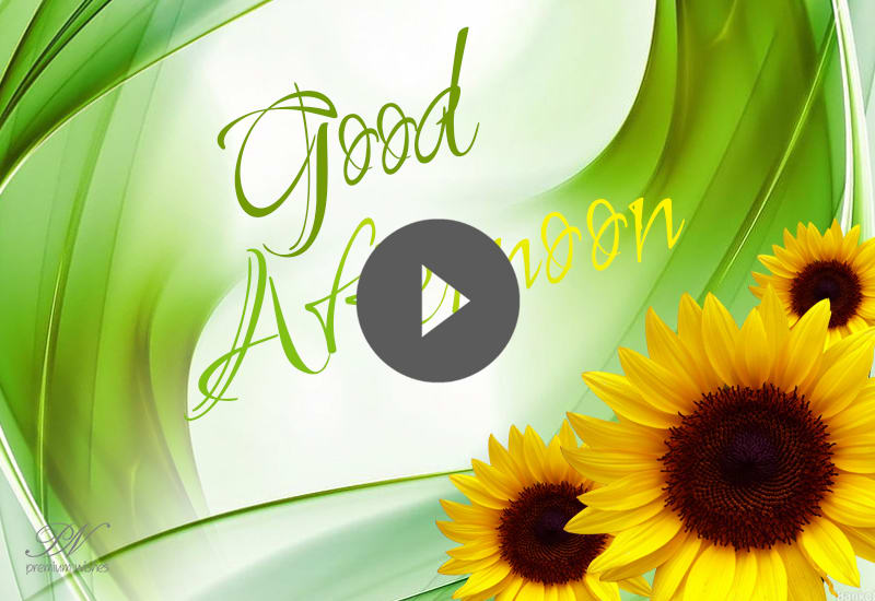 Best Good Afternoon Sunflowers Images - Good Afternoon Video with Sunflowers