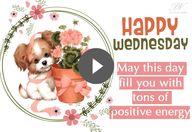 Happy Wednesday Video - Good Morning Wednesday Greetings