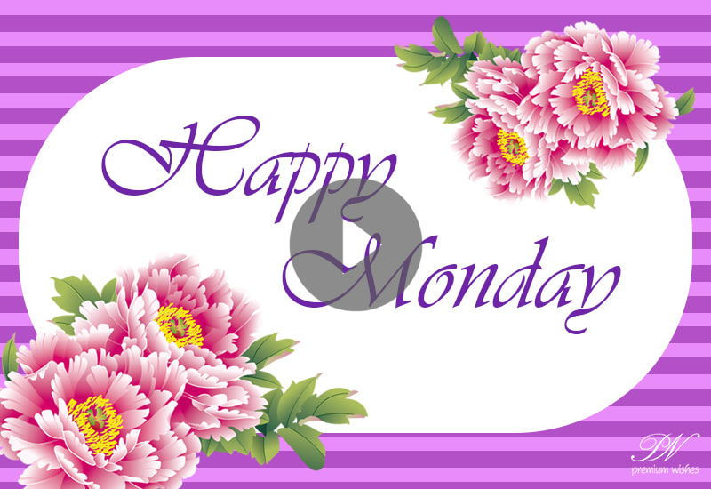 Monday Greetings Video - Happy Monday Whats App Status