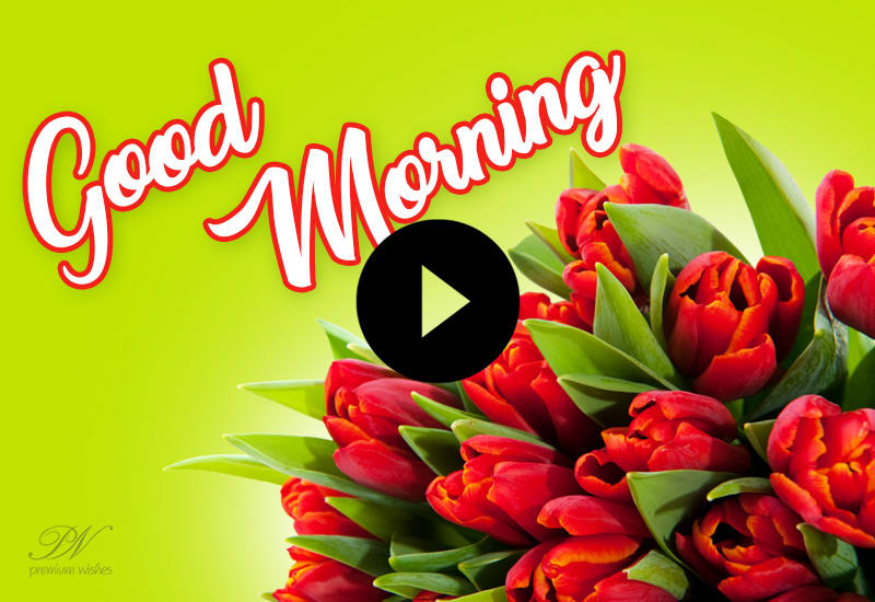 Good Morning Video With Red Flowers, Good Morning e-greetings