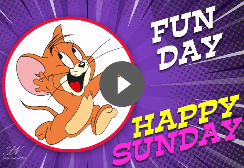 Sunday Funday Video - Happy Sunday New Cute Video