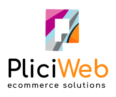 PliciWeb Solutions