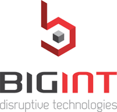 BigInt