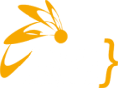 Cins