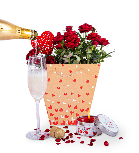 Roses and Bubbly - Valentine's Gifts - Valentine's Plants - Plant Gifts - Plant Gift Delivery - Indoor Gifts - Rose Plants