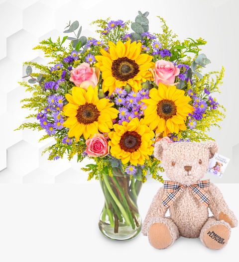 The Summer Serenade with Teddy