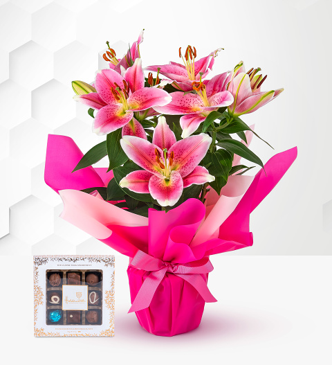 Lovely Lily Gift image