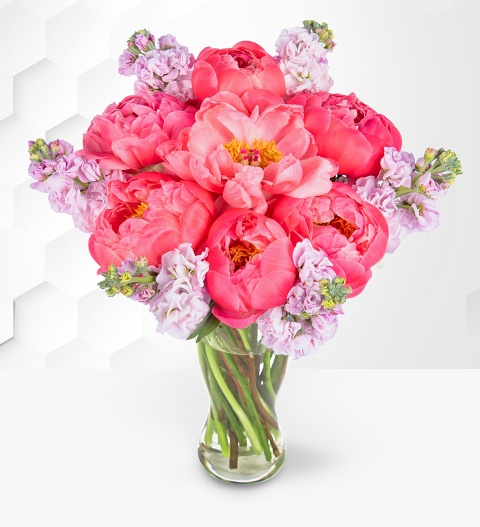 Paradise Peonies image