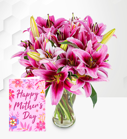 Stargazer Lilies with Card image