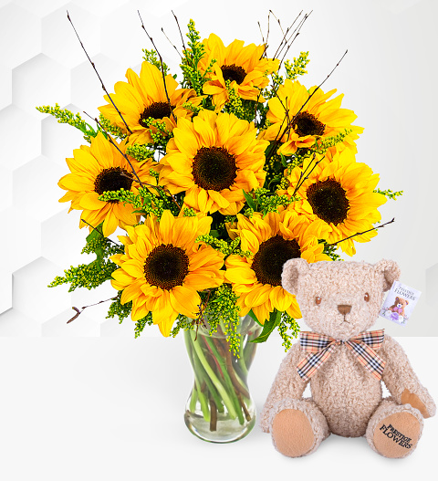 Sensational Sunflowers with Teddy image