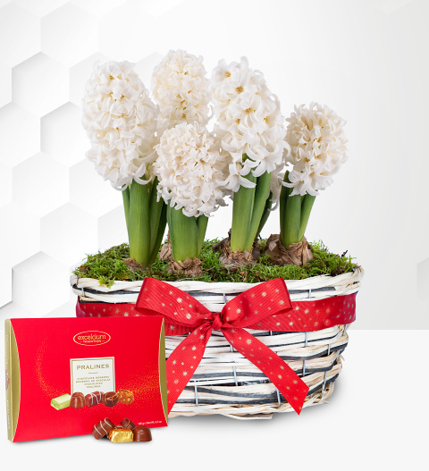 Winter Hyacinth Basket with Chocolates image