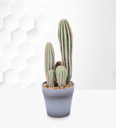 Image of Beautiful Faux Cactus