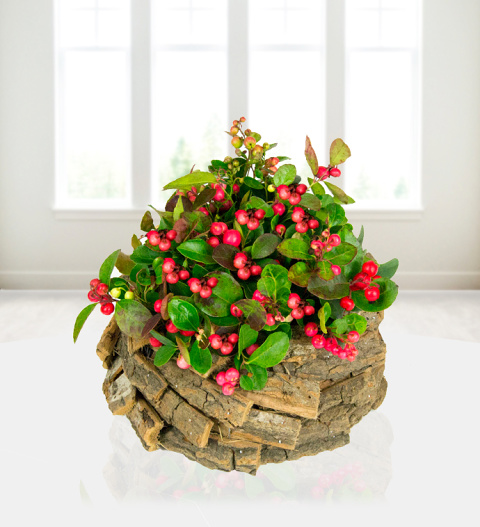 Rustic Red Berry Display - Free Chocs image