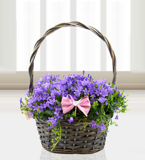 Mother's Day Basket - Free Chocs image