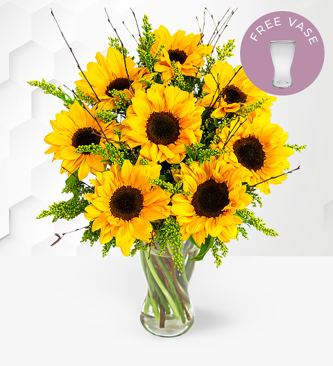 Sensational Sunflowers & FREE Vase image