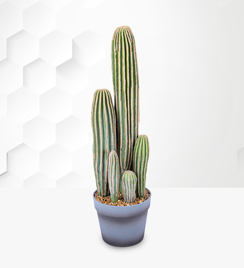 Image of Potted Faux Cactus 23inch