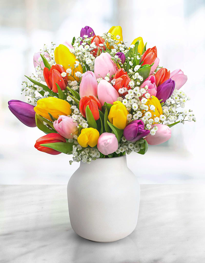 Mixed Tulip Delight