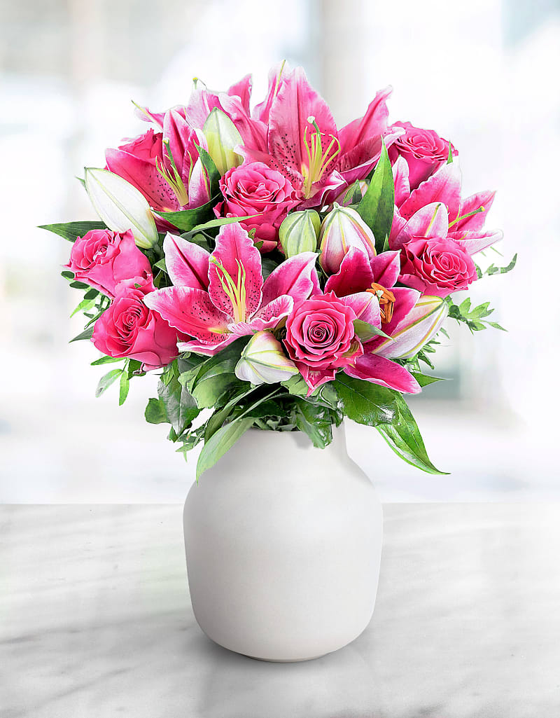 Lily Rose Medley 