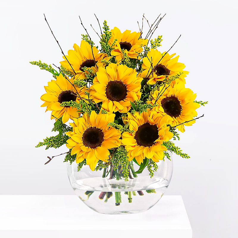 Sunflower Surprise | Barnardos Flowers