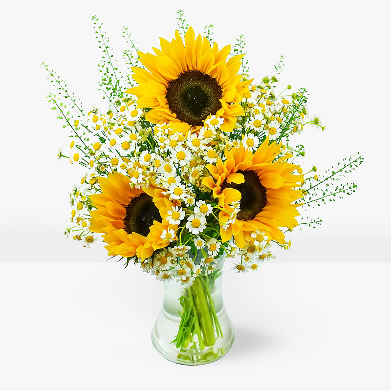 Sunflower Surprise B&M Flowers