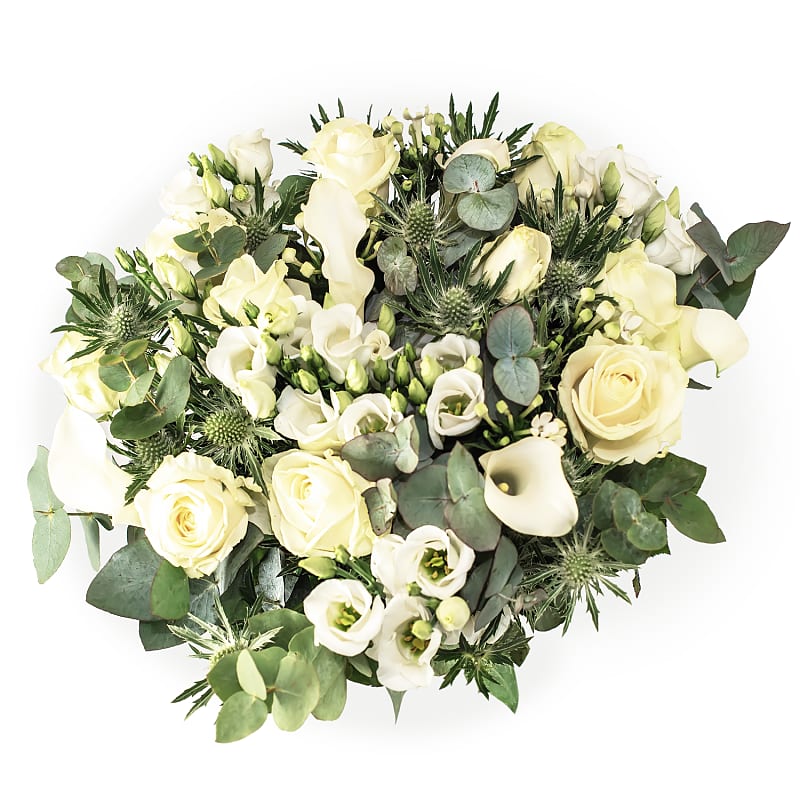 Rome Monsoon Flowers