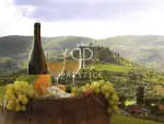 20 bedroom Hotel for sale with countryside view in Florence, Tuscany