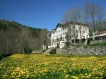 5 bedroom Hotel for sale in Cerdanya, Catalonia