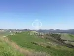 Farmhouse for sale with panoramic view in Castelfarfi, Tuscany